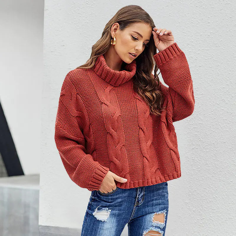 Loose Fit High Neck Knit Sweater