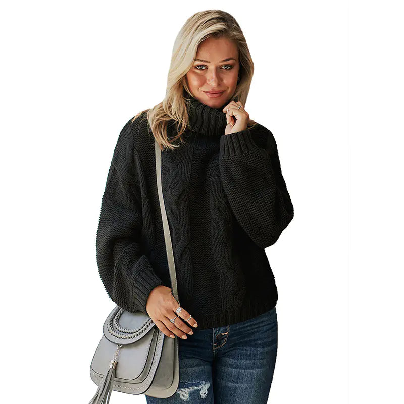 Loose Fit High Neck Knit Sweater
