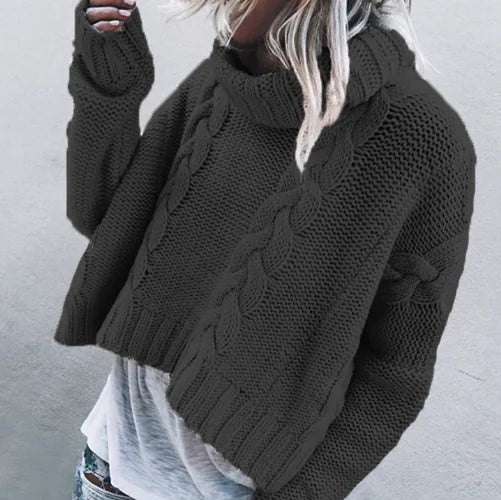 Loose Fit High Neck Knit Sweater
